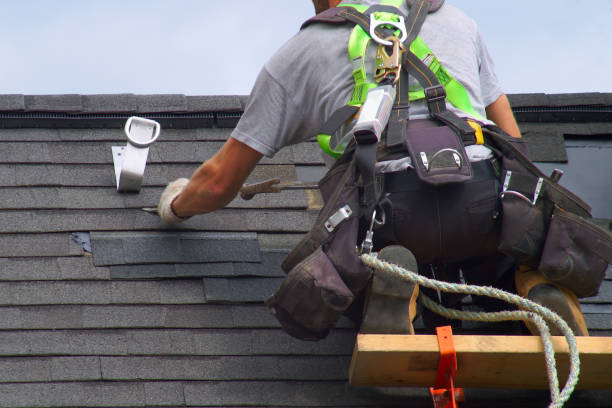 Best Storm Damage Roof Repair  in Victory Gardens, NJ